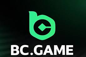 BC Game Registration Guide for Indian Players
