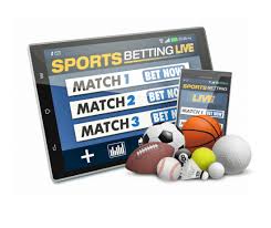 Betwinner Your Ultimate Guide to Successful Online Betting