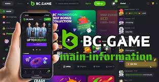 Discover BC.Game Casino Your Guide to Online Gaming