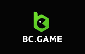 Exceptional Support Services at BC.Game Your Gateway to a Seamless Experience