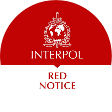 Understanding the Role of Interpol Defense Lawyers 1336021395