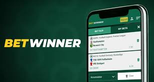 Complete Guide to BetWinner Registration Process